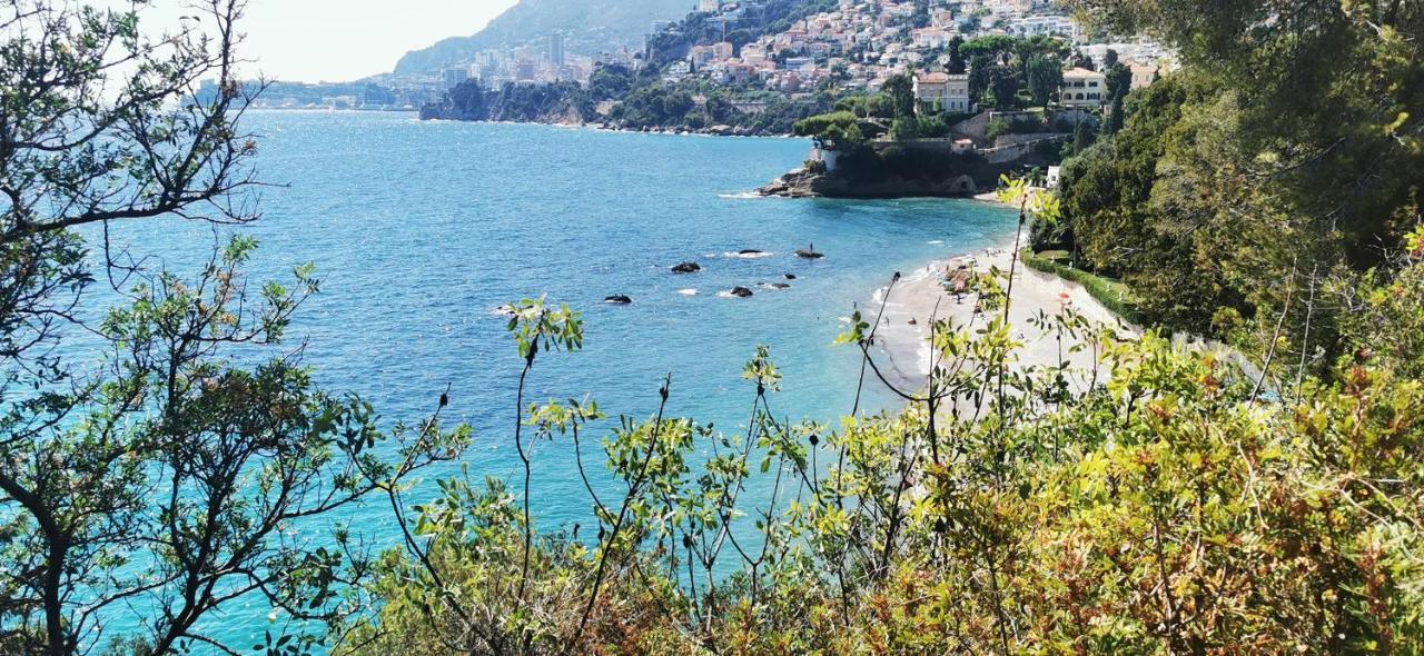 Vue Magnifique, Piscine Privee Chauffee Et Sauna A 10Min De Monaco Roquebrune-Cap-Martin Bagian luar foto